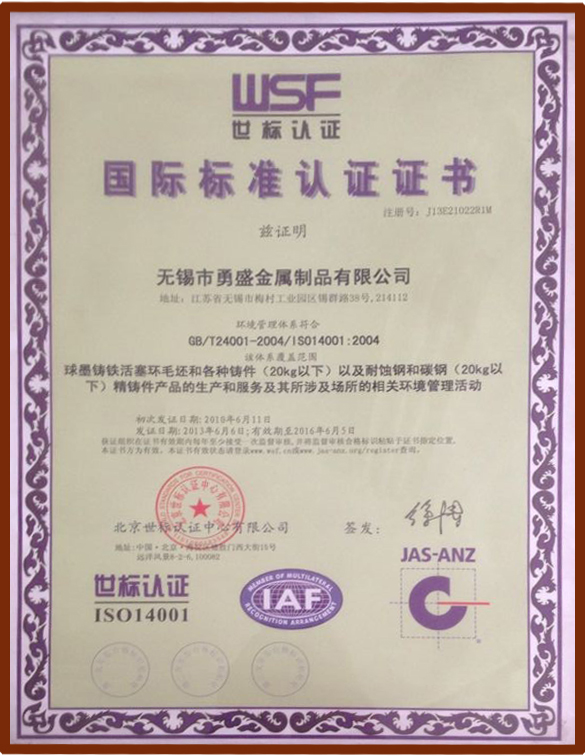 International standards certification
